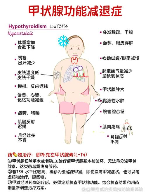  甲状腺功能异常