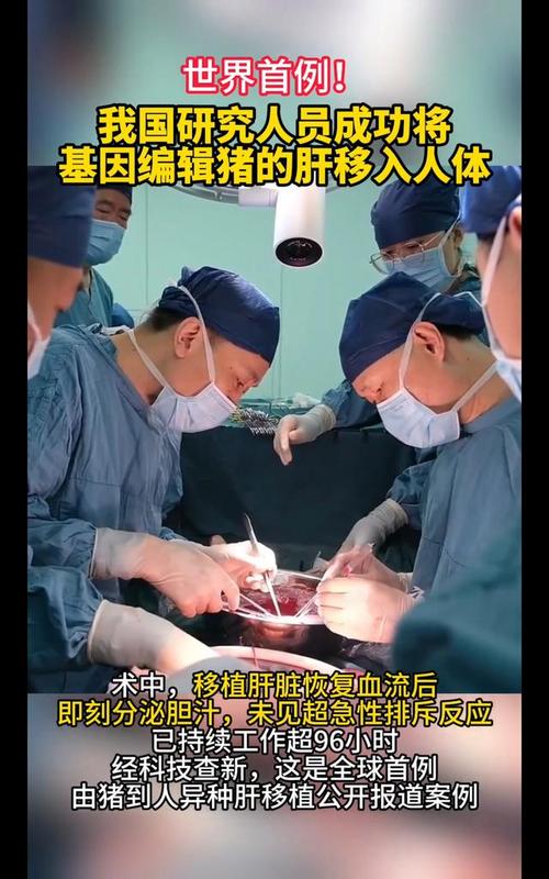  体内移植