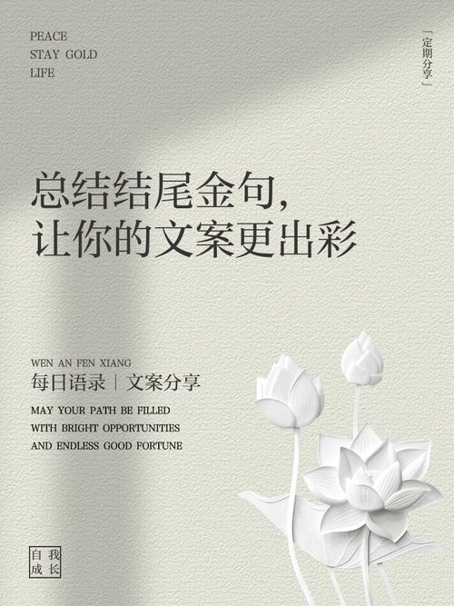 并在最后给出核心总结。请将文案发给我