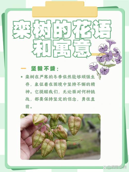  寓意