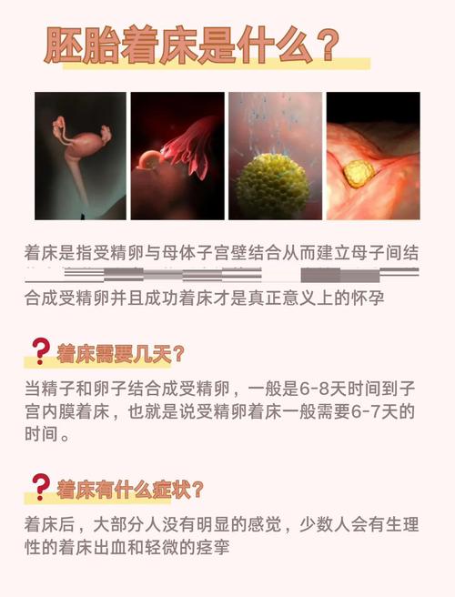 着床成功标志