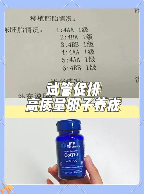 试管养卵巢