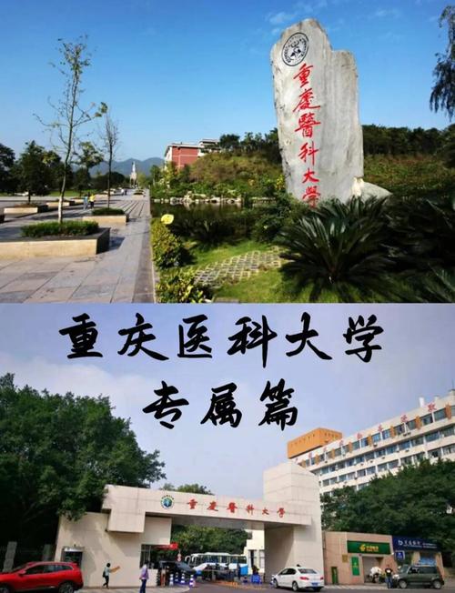 重庆医学研究院