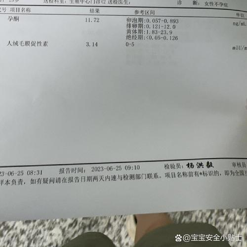 囊胚移植失败