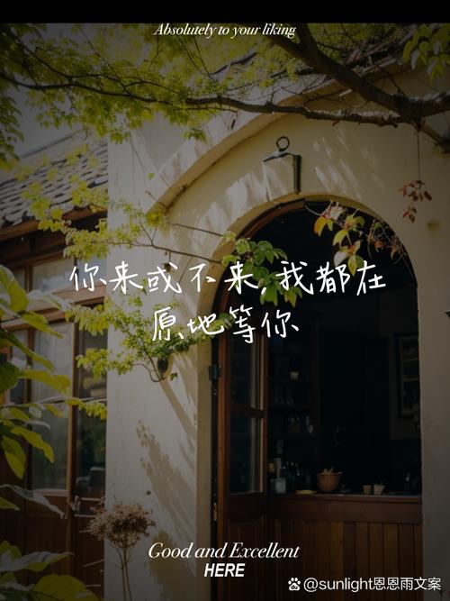 并以简洁的格式呈现给您。我会等待您的文案