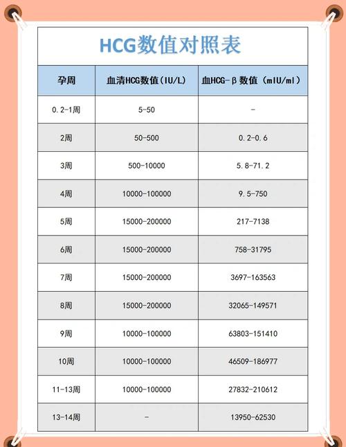 HCG指数