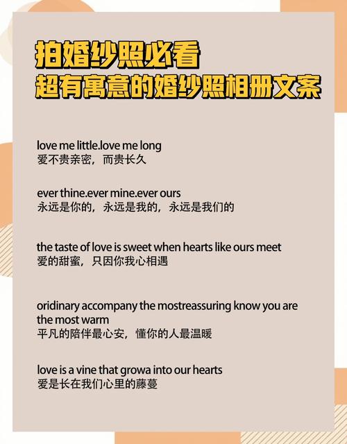 我已经明白了您的要求。请将待总结的视频文案发送给我