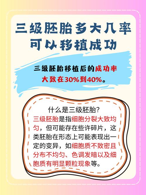 3级胚胎移植