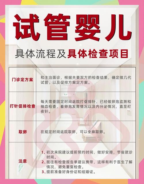 试管婴儿检查流程