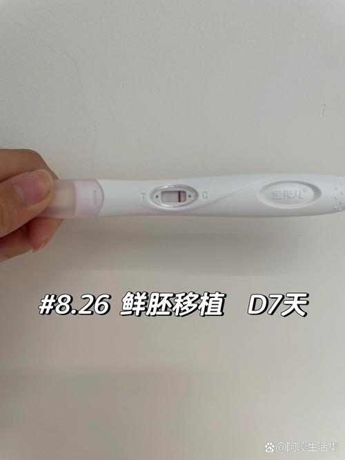 试管鲜胚移植