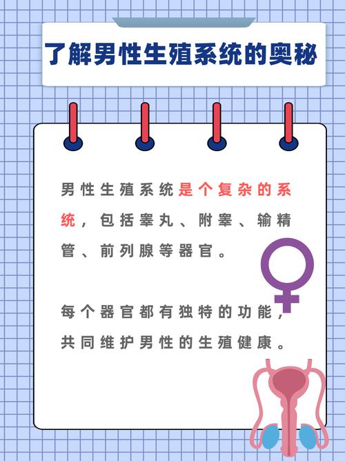  生殖健康

----------
【文章正文】：
<!DOCTYPE html>
<html>
<head>
    <title>试管移植后生化妊娠的原因与应对策略探讨</title>
</head>
<body>
    <h1>试管移植后生化妊娠的原因与应对策略探讨</h1>
    <p>试管婴儿技术作为生殖辅助技术的一种，给许多不孕不育家庭带来了希望。然而，试管移植后生化妊娠的现象时有发生，给患者及其家庭带来了不小的困扰。本文将探讨生化妊娠的原因，并提出相应的应对策略。</p>

    <h