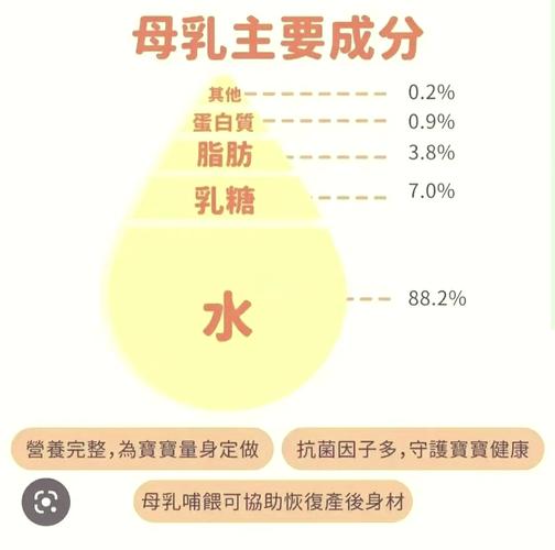 母体营养