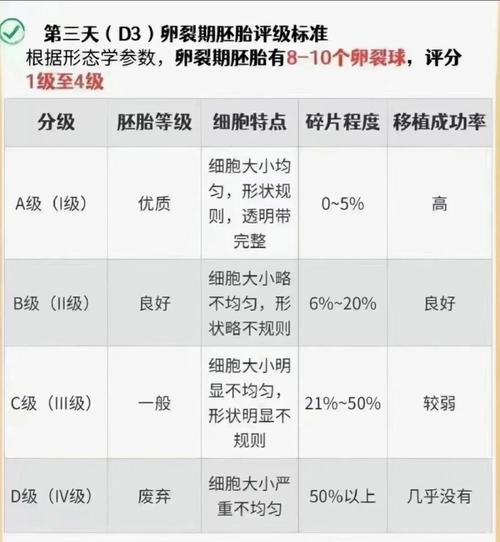 生殖医学
描述: 本文围绕试管婴儿囊胚3cc展开，介绍了囊胚评级含义，通过数据对比阐述其成功率，讲述实际案例，还说明了影响因素、提高成功率方法等，助读者了解囊胚3cc在试管婴儿中的重要意义。