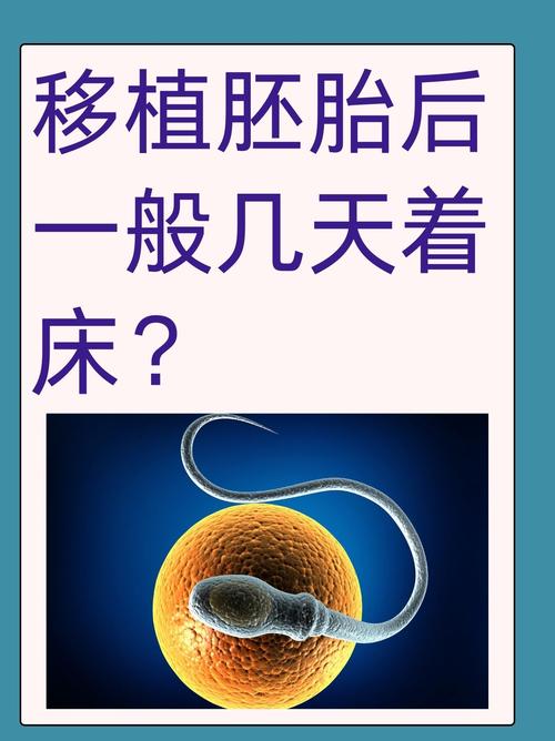  胚胎培植