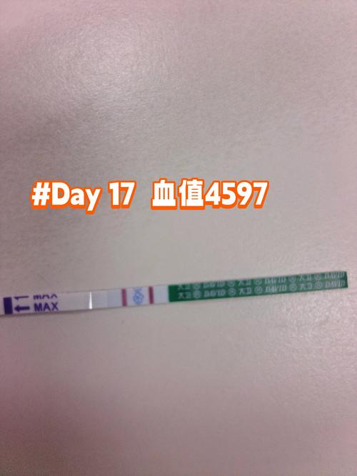 移植17天症状