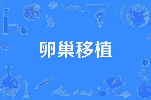  卵巢组织移植