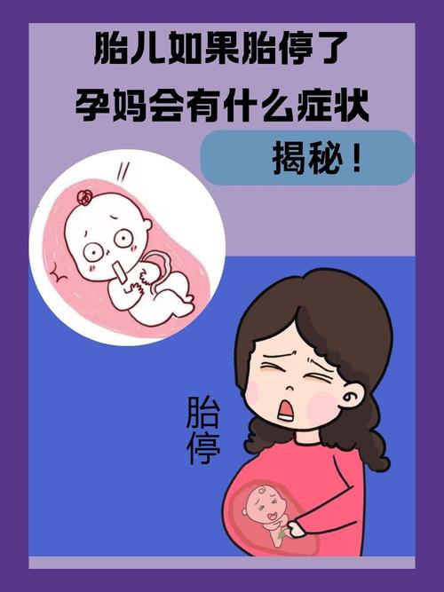  母体反应