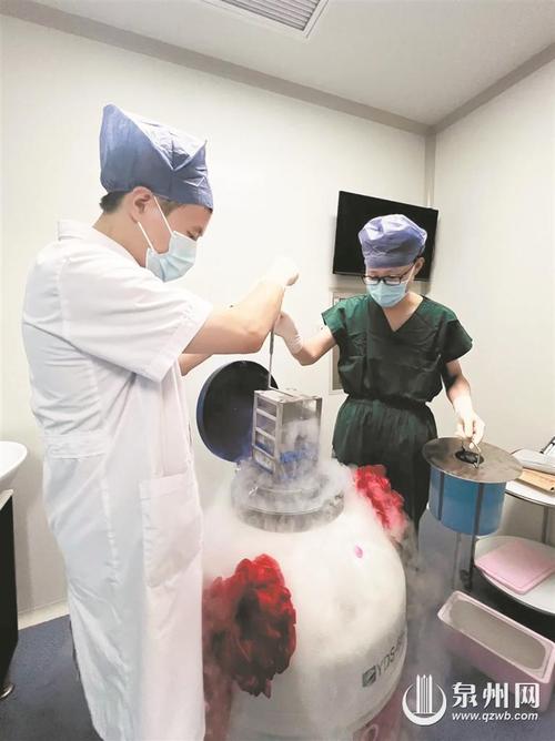 精供试管婴儿