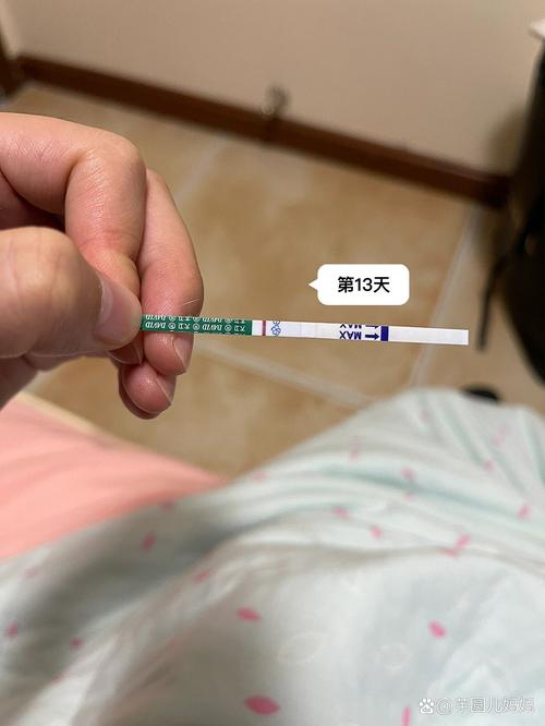 不显示怀孕