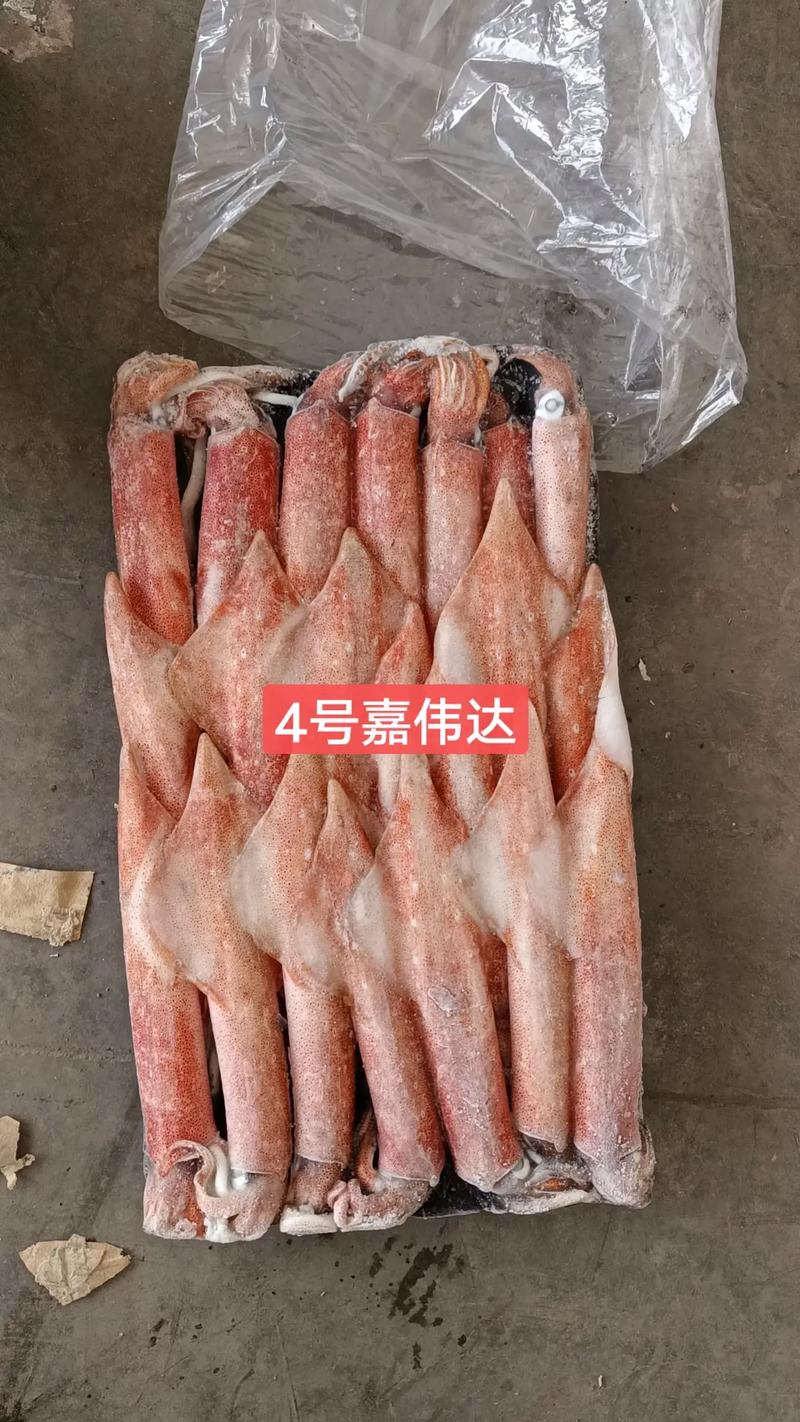 试管鱼