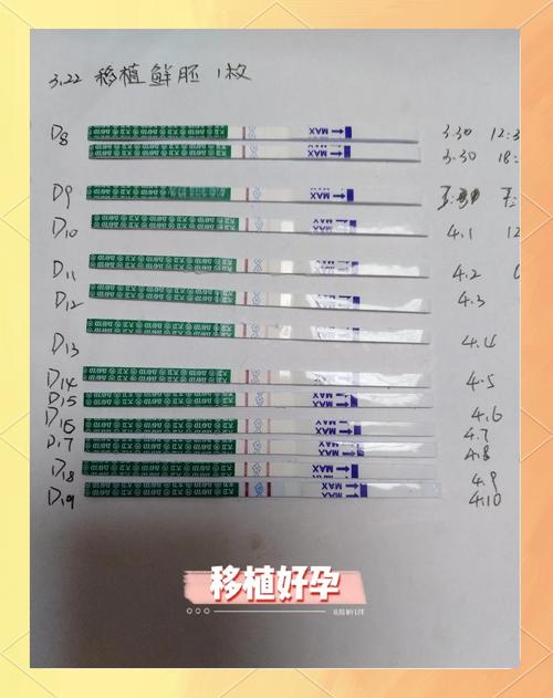 移植后经验