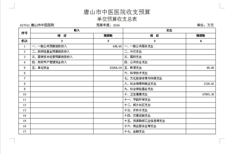 医疗费用预算