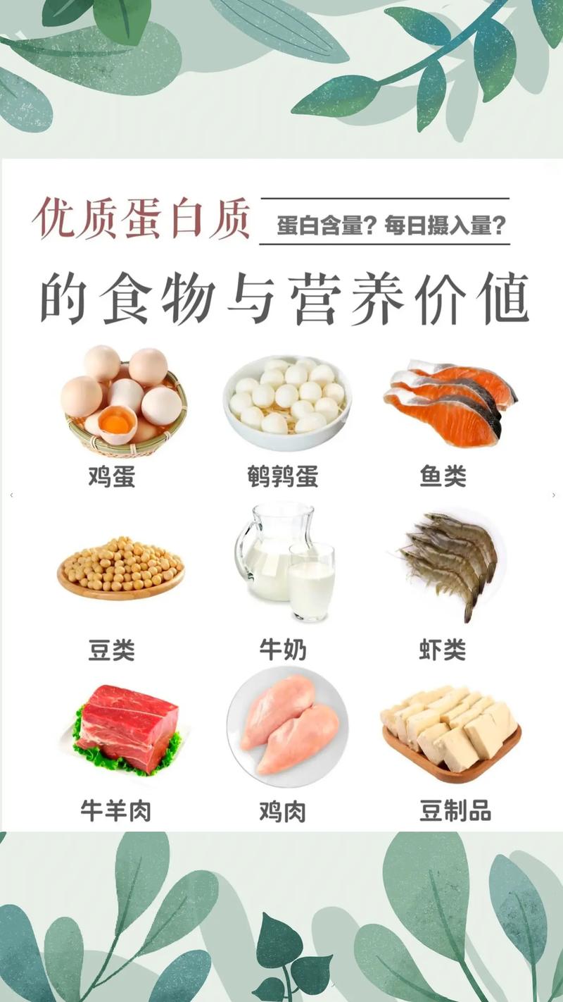 蛋白质食物来源