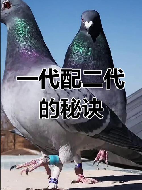 一代配二代