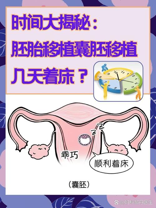  早囊移植