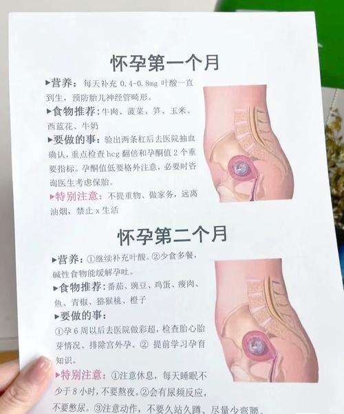  胎儿稳定性