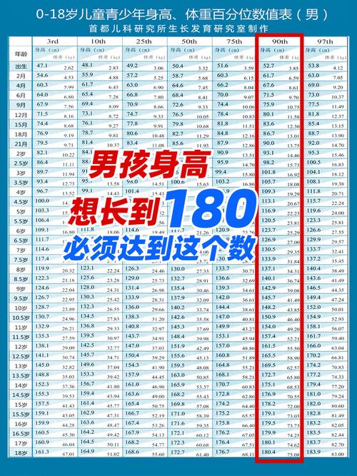 男孩成功率