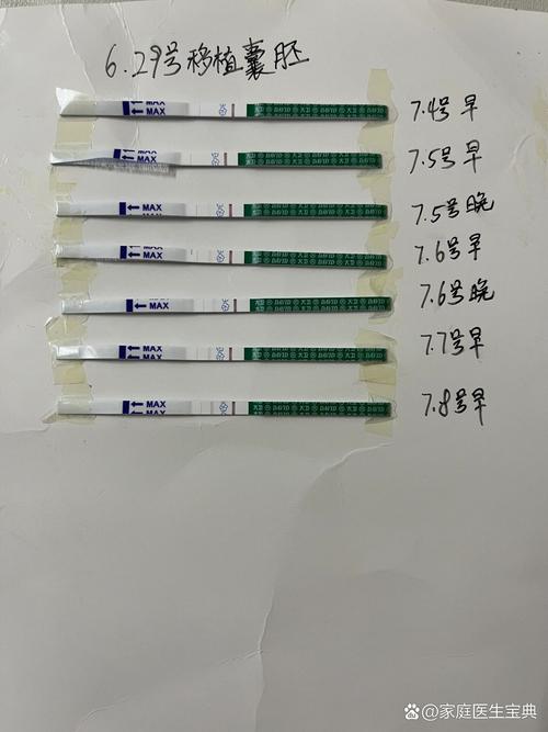 移植第九天
