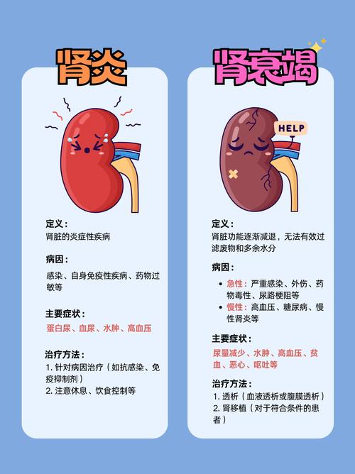  肾炎