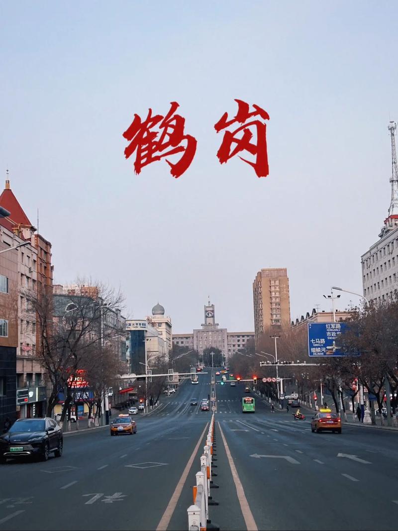 鹤岗