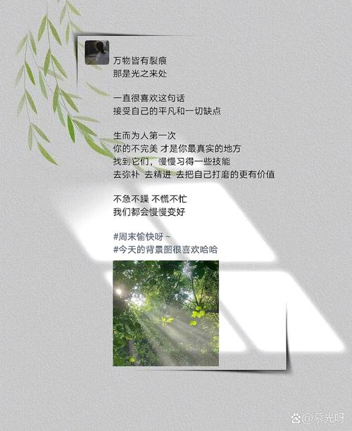 就是上面用```括起来的文本内容。
这段文案存在重复内容的问题：视频的文案输出了两次一样的。
您的任务是
第一：仔细阅读整个文案