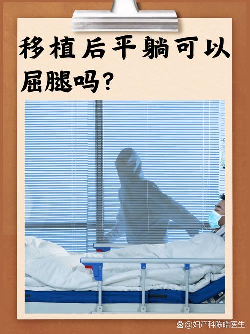 移植后躺姿
