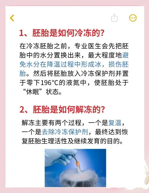  冻胚解冻率