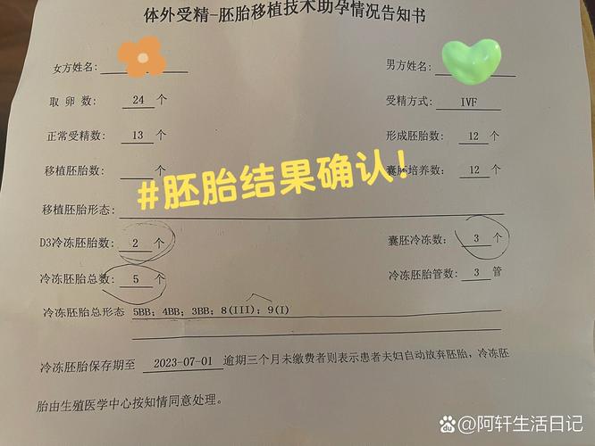 胚胎质量报告