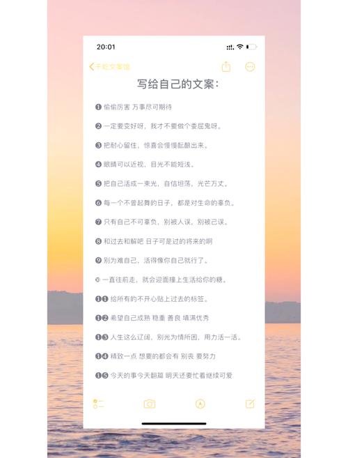 我将根据文案内容给出核心总结。