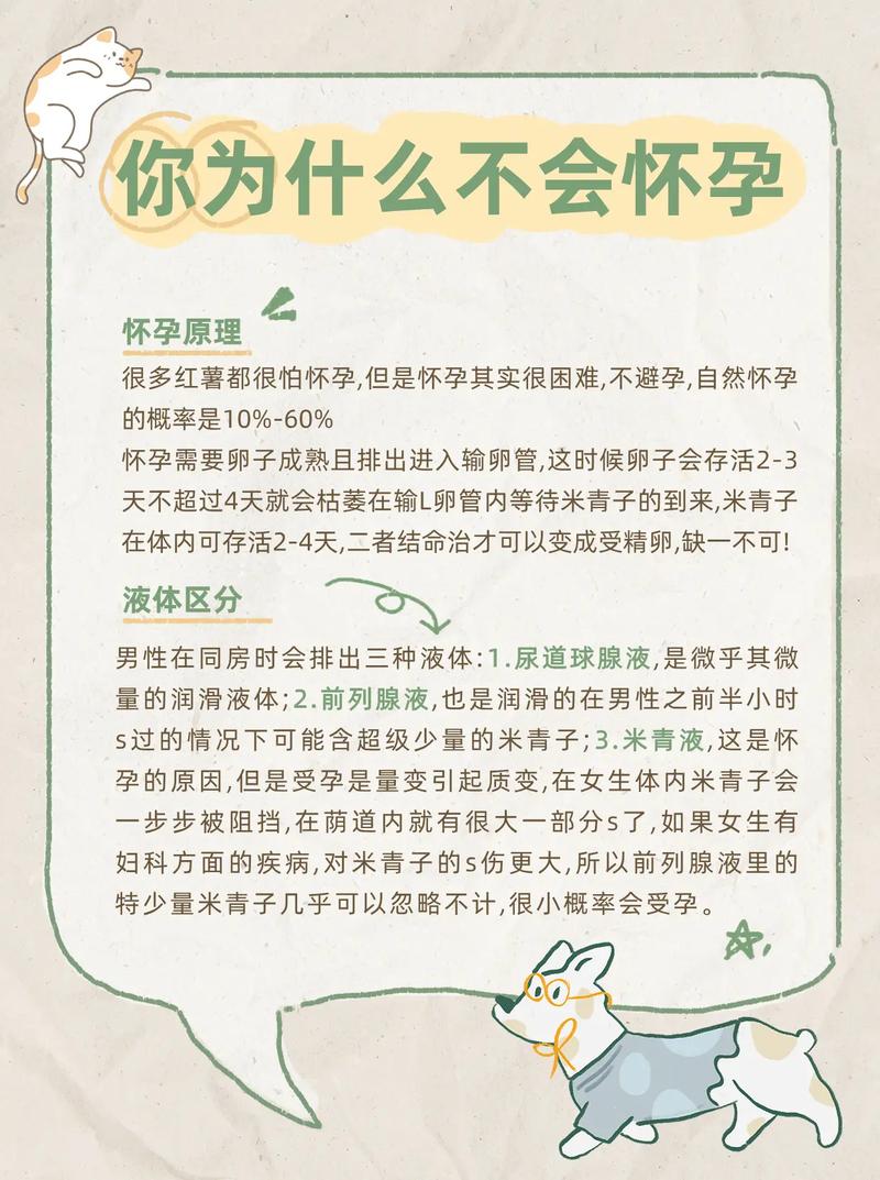 不需要怀孕