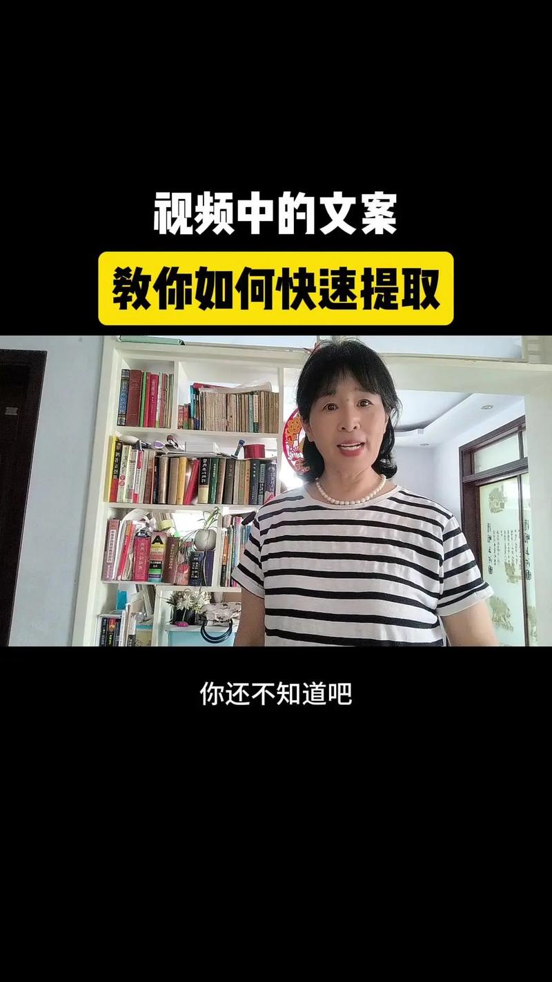 现在面临的任务是处理一段从视频中提取的文案