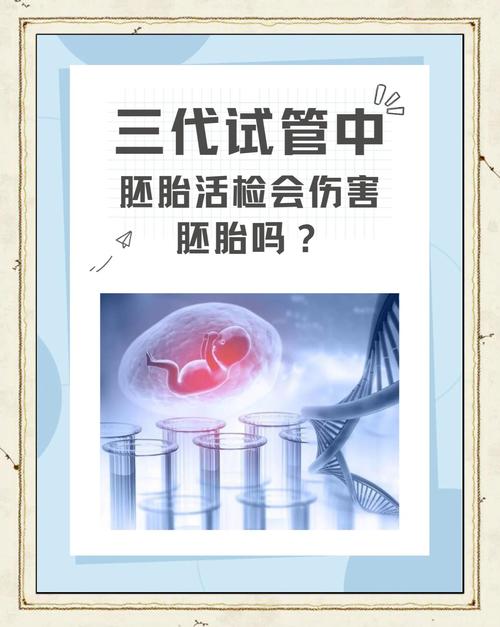 三代胚胎活检
