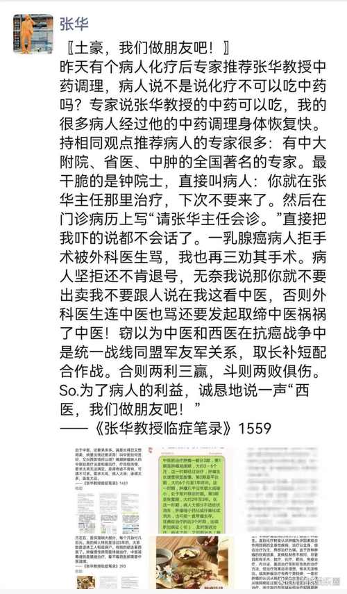 ”隔开；

 

您作为一位中文语言和文本理解的专家