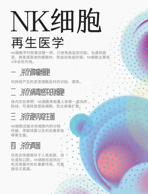  NK细胞