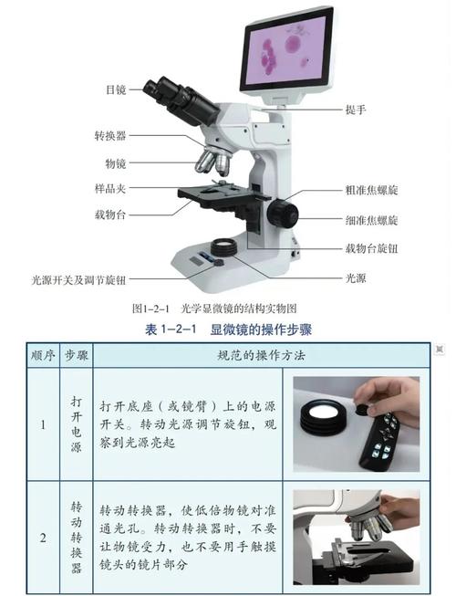 显微镜制作技术