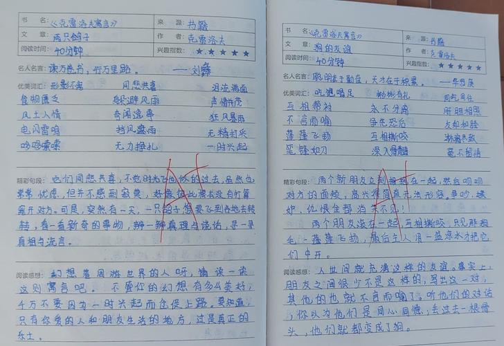 仔细阅读并提炼出核心内容。我会剔除重复的部分