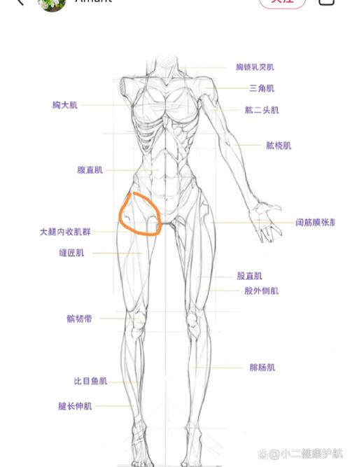 大腿根疼痛