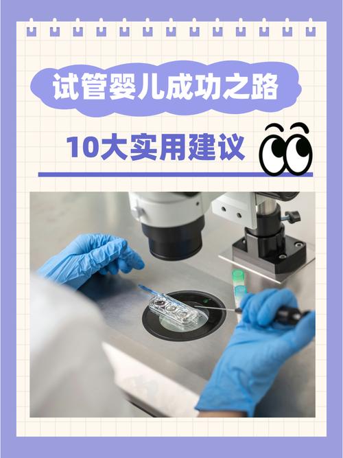 试管婴儿成功之路