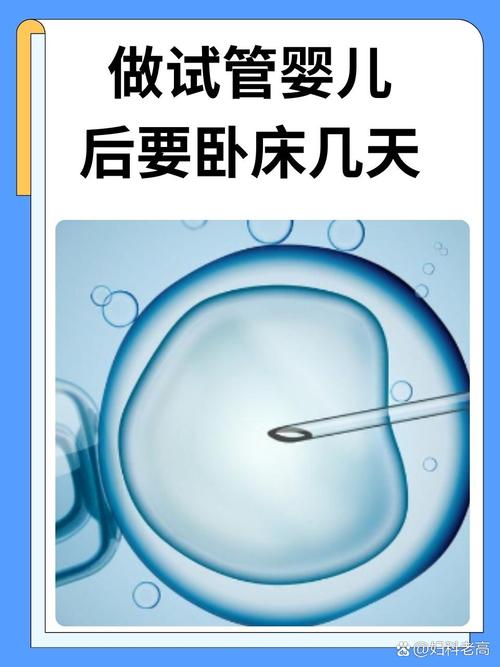 注意事项
描述: 本文详细介绍了试管婴儿鲜胚移植 5 天的具体过程，从移植前准备到每天的变化及注意要点都有涉及，为有相关需求的人群提供了全面实用的信息，助力其顺利完成鲜胚移植。