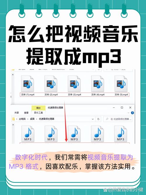 视频提取